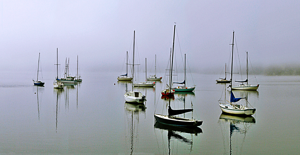 Tomales bay boats.pan